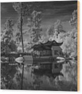 Huntington Chinese Botanical Garden In California With Koi Fish In Black And White Infrared Wood Print