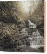 Huron Falls Wood Print