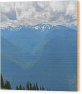 Hurricane Ridge Panoramic Wood Print