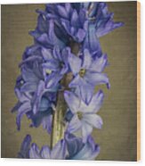 Hyacinth Wood Print
