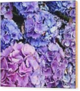 Hydrangea Dreams Wood Print