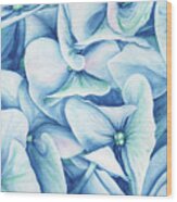 Hydrangea Wood Print