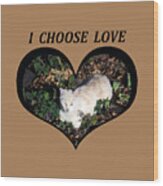 I Chose Love With A Cat Enjoying Catnip In A Garden Wood Print