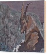 Ibex On The Ledge Wood Print