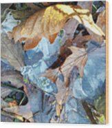 Ice And Fallen Leaves Wood Print