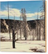 Ice Covered Trees In Yellowstone Wood Print