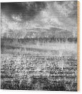 Ice Fog Wood Print