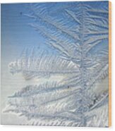 Ice Tree Wood Print