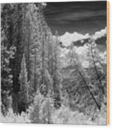 Idaho Passage Wood Print