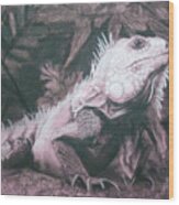 Iguana Wood Print
