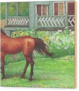 Illustrated Horse Summer Garden Wood Print