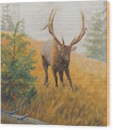 In Pursuit - Elk Wood Print