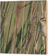 In The Reeds Wood Print
