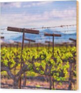 In The Vineyard Wood Print