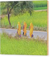 Indian Women On A Village Road. Wood Print