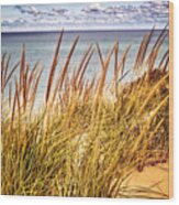 Indiana Dunes National Lakeshore Wood Print