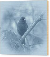 Indigo Bunting In Blue Wood Print