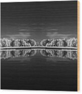 Infrared Reflections Wood Print