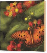 Insect - Butterfly - Heliconius Wood Print