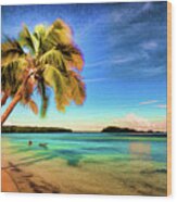 Bahia Honda Beach Wood Print