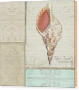 Inspired Coast Collage - Triton's Trumpet Shell W Vintage Tile Wood Print