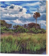 Intracoastal Autumn Wood Print