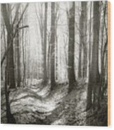 Into The Forest - Nr. 1 Wood Print
