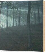 Iowa Fog Rays Wood Print