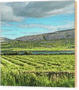 Ireland  - Burren Panorama Wood Print