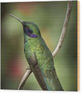 Iridescent Hummingbird With Purple Wood Print