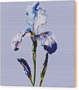 Iris A Wood Print