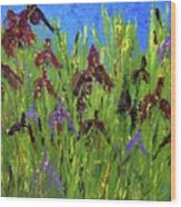 Iris Garden Wood Print