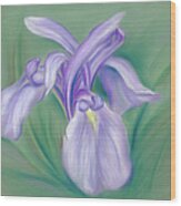 Iris Purple Wood Print