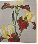 Irises-posthumously Presented Paintings Of Sachi Spohn Wood Print