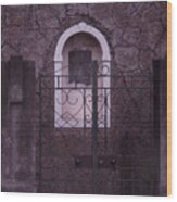 Iron Gate Wood Print