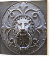 Iron Lion Wood Print