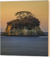 Island At Sunset Wood Print
