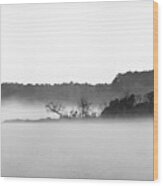 Island In The Fog Wood Print