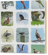 Isles Birds Collage Wood Print