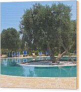 Italy Resort- Olive Tree In Pool Wood Print