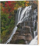 Ithaca Falls Wood Print