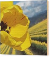 It's All About Me Yellow Tulip Wood Print