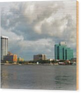 Jacksonville Florida Skyline Wood Print