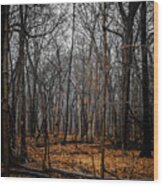 January Forest Rains Wood Print