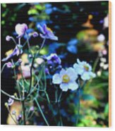 Japanese Anemone In The Afternoon Light Wood Print