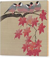 Java Sparrows In Japanese Maple Tree Wood Print
