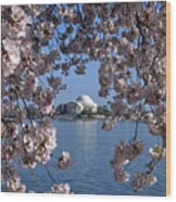Jefferson Memorial On The Tidal Basin Ds051 Wood Print