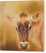 Jersey Cow Farm Art Wood Print