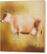 Jersey Cow In Field Wood Print