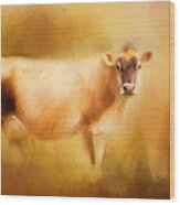 Jersey Cow  Wood Print